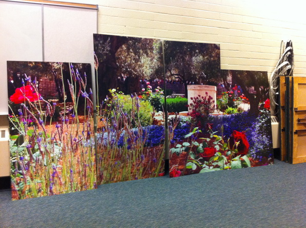 Edmonton Gatorboard Signs