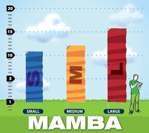 Emonton Flags Mamba Style
